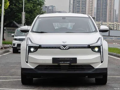 2021 Nezha Auto Neta U Pro 400 Industry Custom Edition, фото 2, лот 11074810
