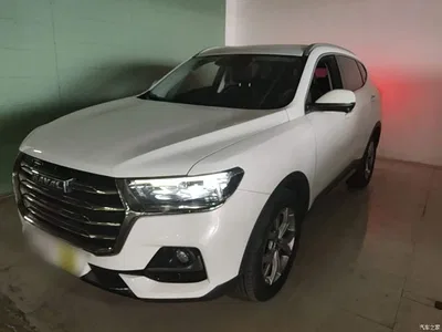 2021 Haval H6 Model National Trend Edition 1.5T Auto Champion, фото 2, лот 10285918