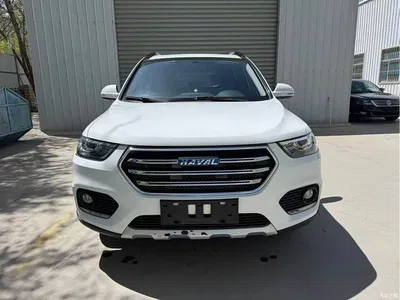 2017 Haval H6 Blue Label Sport 1.5T Auto 2WD Luxury, фото 2, лот 10298618