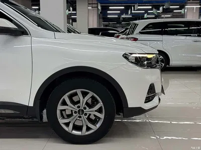 2021 Haval H6 Model National Trend Edition 1.5T Auto Champion, фото 4, лот 10297743