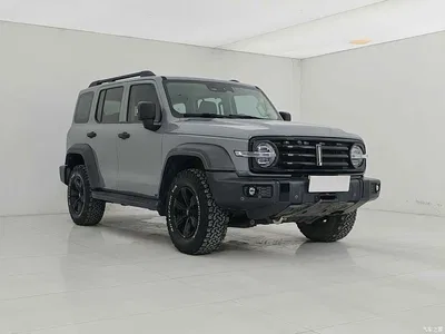 2021 Tank 300 Off-road Version 2.0T Conqueror, фото 3, лот 10507520