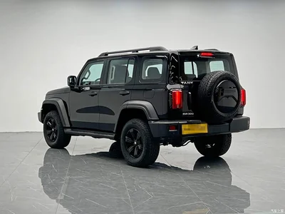 2021 Tank 300 Off-road Version 2.0T Conqueror, фото 4, лот 10344154