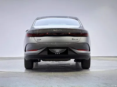 2025 BYD Qin PLUS DM-i Smart Drive 55KM Leader, фото 4, лот 10363403