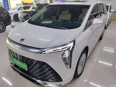 2025 Buick Century 2.0T 7-Seater World Edition, фото 1, лот 10257935