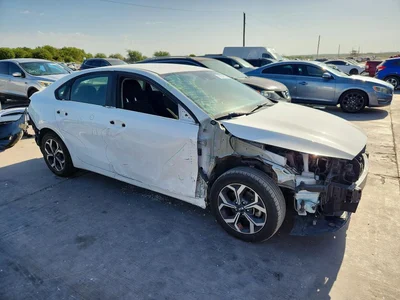 2019 KIA FORTE LXS, фото 4, лот 10779269