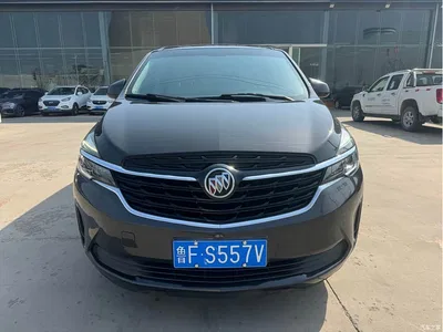 2021 Buick GL8 Land Business Class 652T Comfort, фото 2, лот 10257581