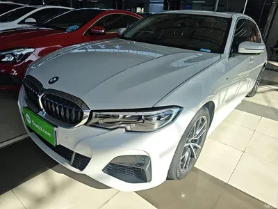 2020 BMW 3 Series 320Li M Sport Package, фото 1, лот 10457754