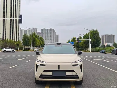 2025 WEY Lanshan AWD Max, фото 3, лот 10383153