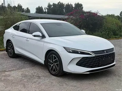 2024 BYD Qin L DM-i 80KM Superior, фото 3, лот 10252519