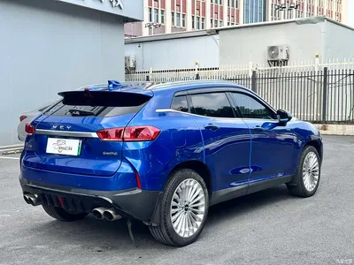 2018 WEY P8 2.0T Flagship Model, фото 4, лот 11521801