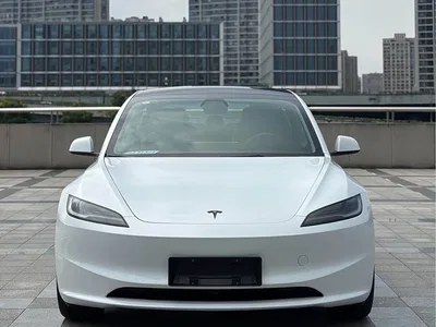 2025 Tesla Model 3 Model Long Range Rear-Wheel Drive, фото 3, лот 10350495