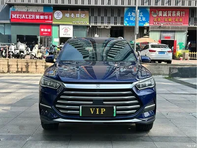 2022 BYD Song Pro New Energy DM-i 110km Flagship Pro, фото 2, лот 10273626