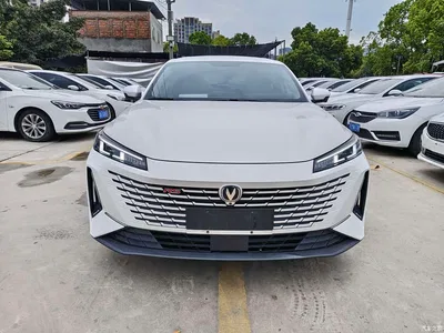 2023 Changan Yida Blue Whale NE 1.5T GDI DCT Flagship, фото 2, лот 10252419