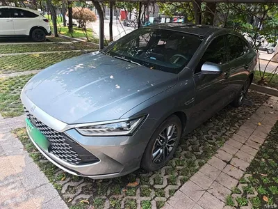 2021 BYD Qin PLUS DM-i 120KM Flagship, фото 2, лот 10362821
