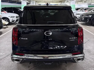 2022 GAC Trumpchi Trumpchi GS8 Hybrid Series 2.0TM 4WD Premium Edition (7-Seater), фото 4, лот 11222778