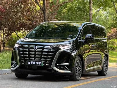 2024 Denza D9 DM-i 980 AWD Premium, фото 1, лот 10356366