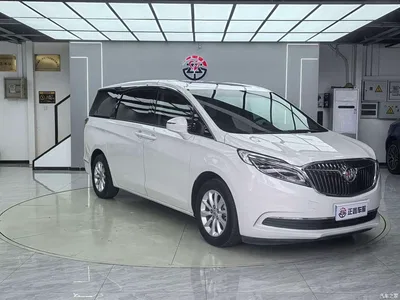 2017 Buick GL8, фото 3, лот 10245651