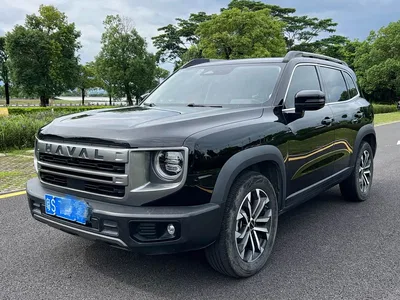 2024 Haval Big Dog 1.5T DCT Border Collie Edition, фото 3, лот 10370864