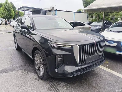 2021 Hongqi E-HS9 460km Flagship Comfort 6-seater, фото 4, лот 10304474