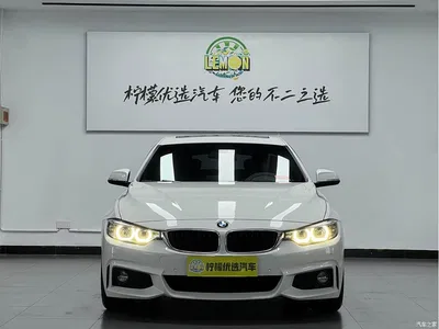 2017 BMW 4 Series 425i Gran Coupe Leading M Sport Package, фото 3, лот 10689135