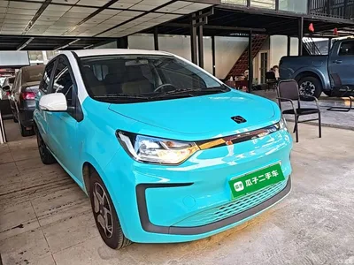 2021 Sehol Flower Fairy 302km Luxury Edition 31.4kWh, фото 4, лот 11198905