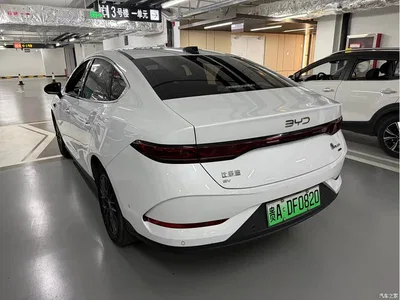 2025 BYD Qin PLUS EV Smart Drive Edition 510KM Leading Type, фото 4, лот 11583496