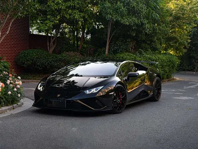 2020 Lamborghini Huracán EVO RWD, фото 1, лот 10308801