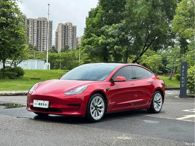 2021 Tesla Model 3 Standard Range Rear-Wheel Drive Upgrade 3D6, фото 1, лот 10354083