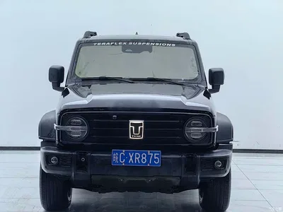 2021 Tank 300 Off-road Version 2.0T Conqueror, фото 2, лот 11196754