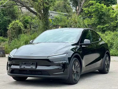 2026 Tesla Model Y Rear-Wheel Drive, фото 1, лот 10445455