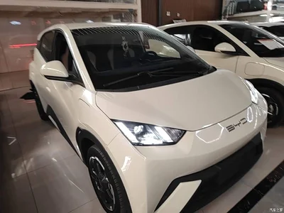 2023 BYD Seagull Freedom Edition, фото 4, лот 11502570