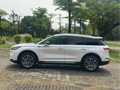 2022 Lincoln Adventurer 2.0T 2WD Deluxe Edition, фото 4, лот 10357681