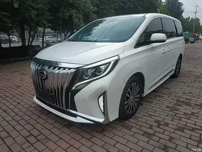 2021 GAC Trumpchi Trumpchi M8 Leading Show Series 390T Prestige Edition, фото 2, лот 10421909