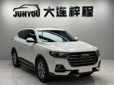 2021 Haval H6 Model National Trend Edition 1.5T Auto Champion, фото 3, лот 10282203