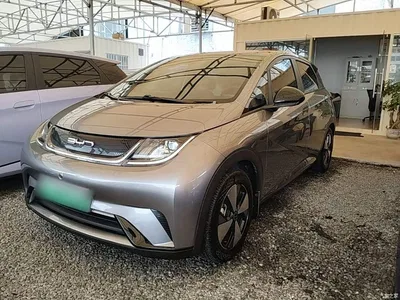 2023 BYD Dolphin 420km Freedom Edition, фото 2, лот 10259755