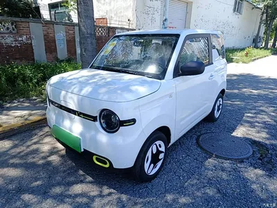 2025 Geely Galaxy Panda mini 210km Vitality Bear, фото 2, лот 10433330