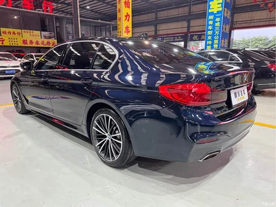 2020 BMW 5 Series 530Li Leading M Sport Package, фото 4, лот 10444668