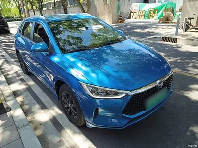 2021 BYD e2 Luxury Edition, фото 4, лот 10387892