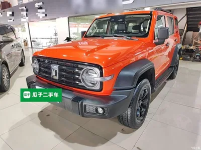 2024 Tank 300 Model 2.0T Challenger, фото 1, лот 11137506