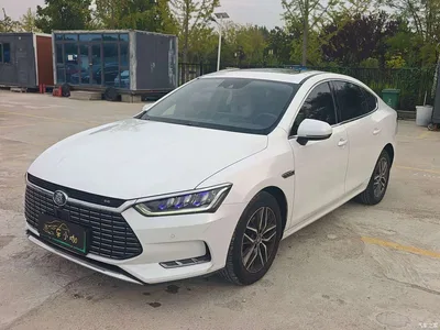 2019 BYD Qin Pro New Energy EV Super Edition High Power Long Range Smart Connected Pioneer Type, фото 1, лот 10958220