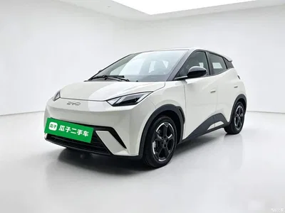 2023 BYD Seagull Freedom Edition, фото 1, лот 10259719