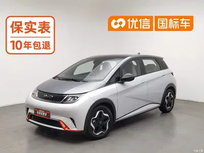 2021 Byd Dolphin, фото 1, лот 10245341