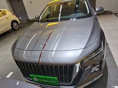 2023 Hongqi H5 2.0T Auto Smart Connect Flag Enjoy, фото 3, лот 10289377