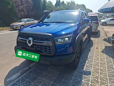 2020 Great Wall Pao 2.0T Off-road Automatic Diesel 4WD Premium Edition GW4D20M, фото 2, лот 10478887