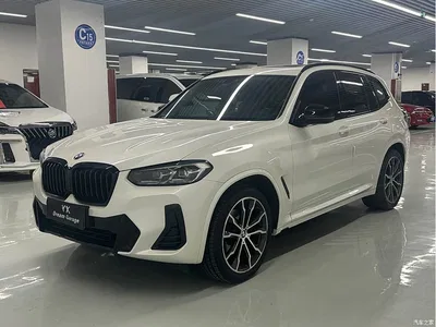 2021 BMW X3 xDrive30i Leading M Sport Package, фото 1, лот 10621463
