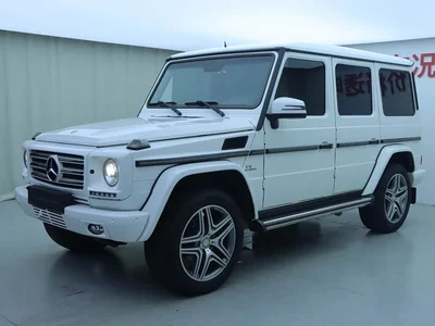 2013 Mercedes-Benz G-Class G 500, фото 1, лот 10249542