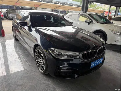 2018 BMW 5 Series Facelift 530Li Exclusive M Sport Package, фото 3, лот 10808498