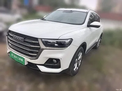 2021 Haval H6 Model National Trend Edition 1.5T Auto Champion, фото 2, лот 10286089