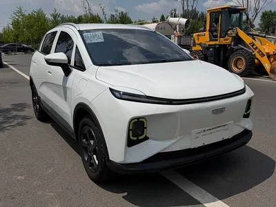 2022 Geely E Firefly 320KM Well-behaved Tiger 4-seater, фото 3, лот 11157019
