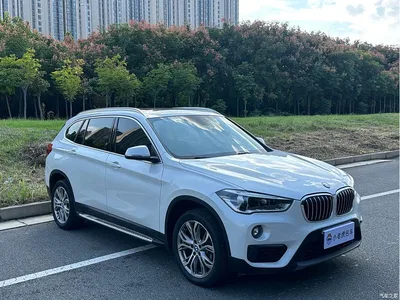2019 BMW X1 sDrive20Li Leading Model, фото 3, лот 11215982
